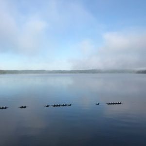 Meet your Posher, Trevor